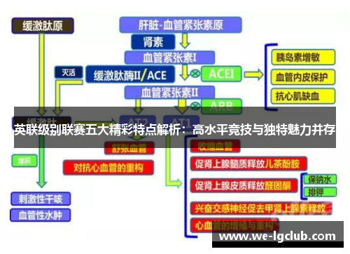 英联级别联赛五大精彩特点解析：高水平竞技与独特魅力并存